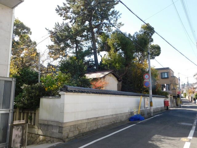 UP_DSCN0476.jpg
