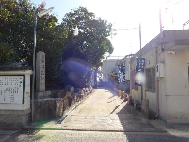 UP_DSCN0481.jpg