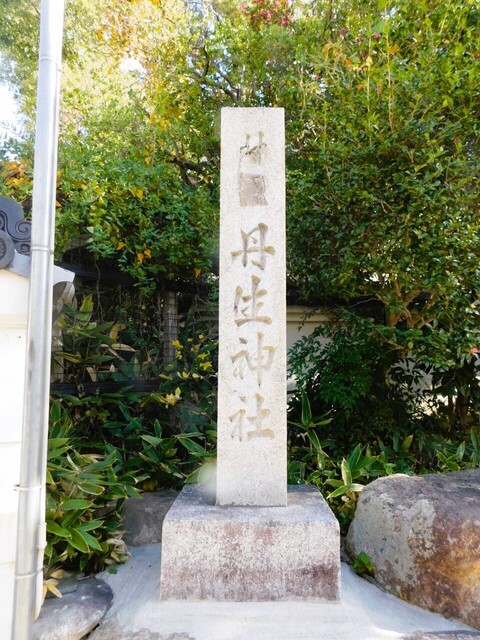 UP_DSCN0482.jpg