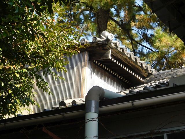 UP_DSCN0485.jpg