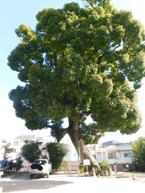 UP_DSCN0489.jpg