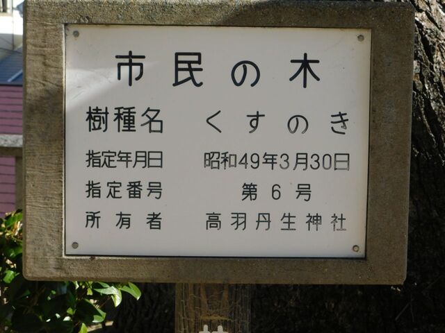 UP_DSCN0493.jpg