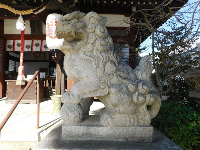 UP_DSCN0511.jpg