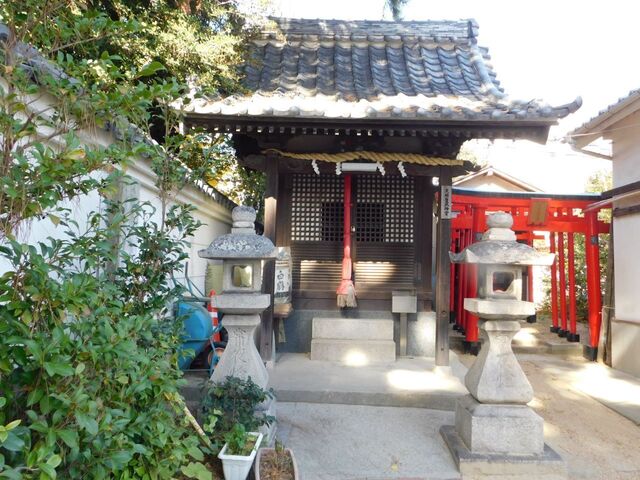 UP_DSCN0514.jpg
