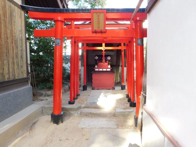 UP_DSCN0518.jpg