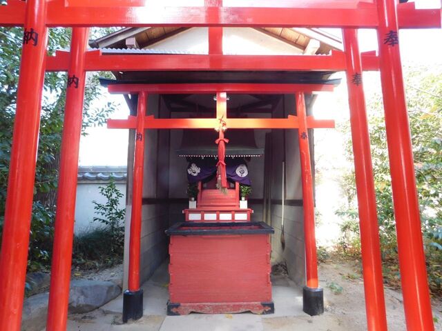 UP_DSCN0521.jpg