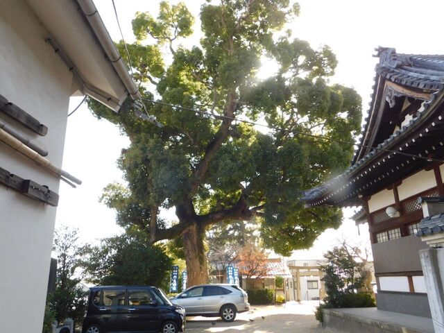 UP_DSCN0524.jpg