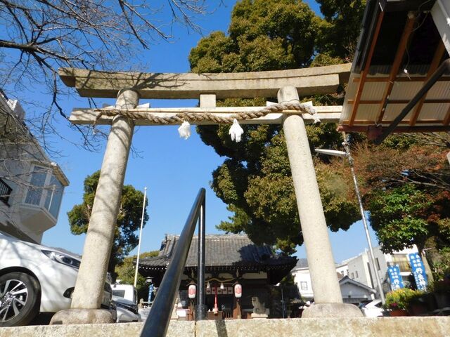 UP_DSCN0538.jpg