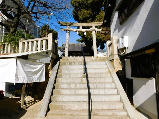 UP_DSCN0540.jpg