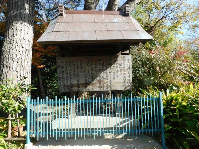 UP_DSCN0542.jpg