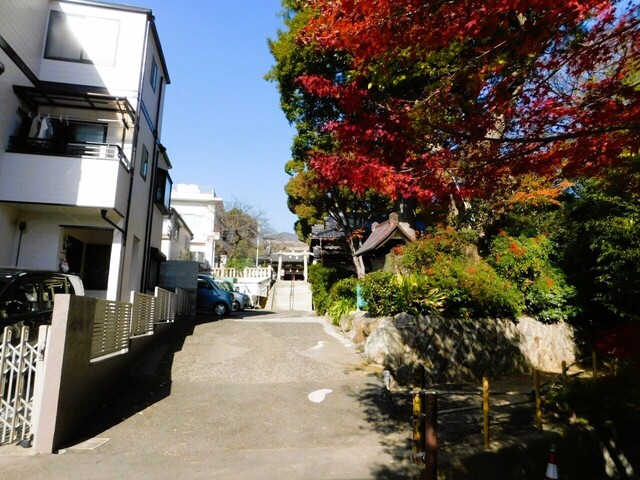 UP_DSCN0551.jpg
