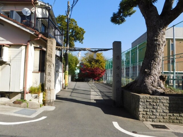 UP_DSCN0554.jpg