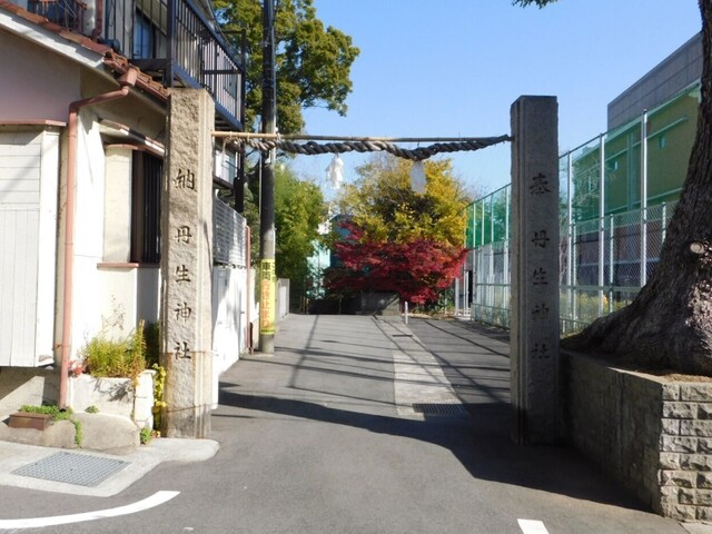 UP_DSCN0555.jpg