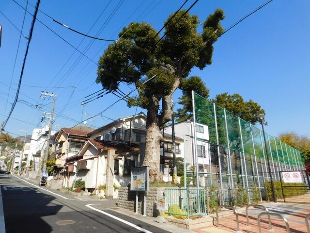 UP_DSCN0556.jpg