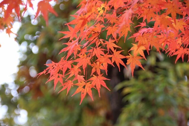 UP_IMG_0038.jpg