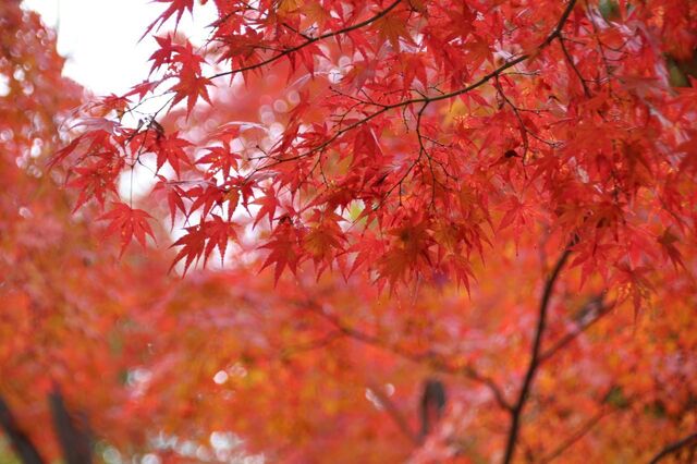 UP_IMG_0046.jpg