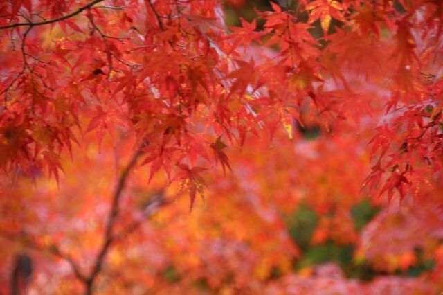 UP_IMG_0049.jpg