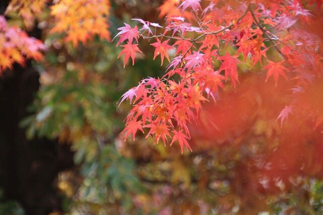UP_IMG_0052.jpg