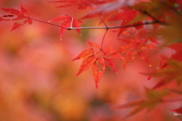 UP_IMG_0053.jpg