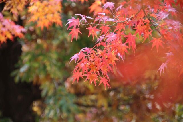UP_IMG_0054.jpg