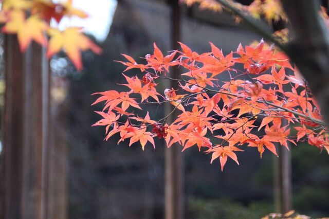 UP_IMG_1010.jpg