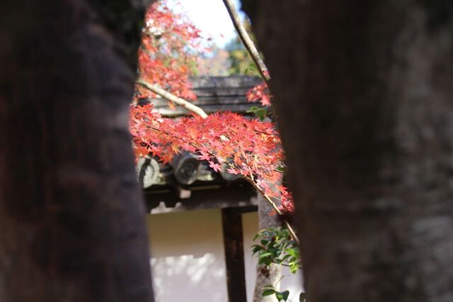 UP_IMG_1107.jpg
