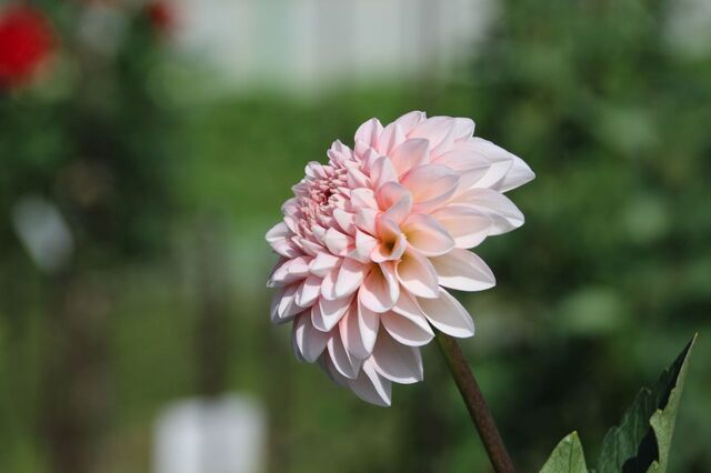 UP_IMG_4176.jpg
