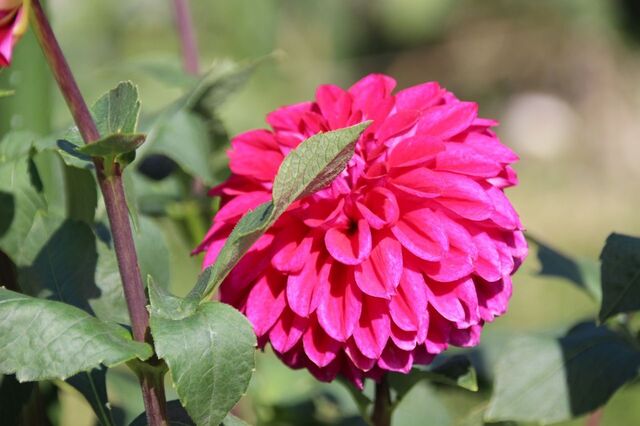 UP_IMG_4254.jpg