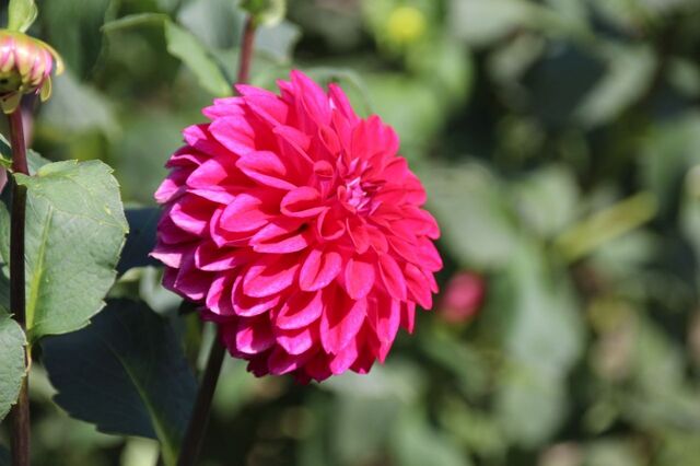 UP_IMG_4255.jpg