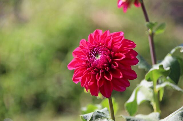 UP_IMG_4258.jpg