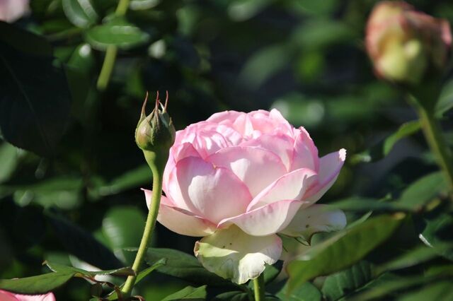 UP_IMG_5999.jpg