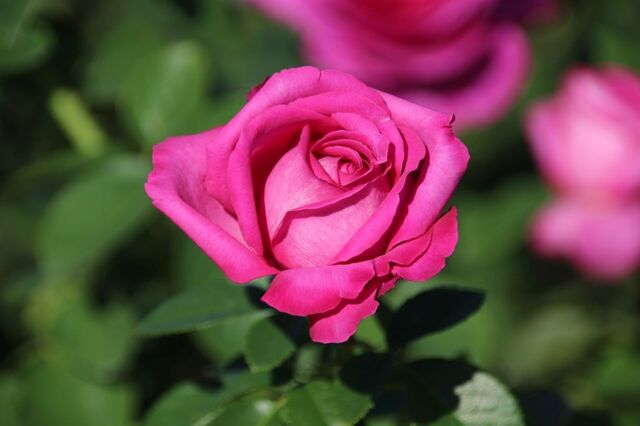 UP_IMG_6010.jpg