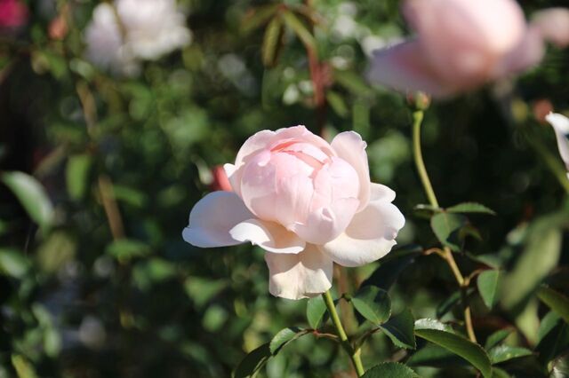 UP_IMG_6020.jpg