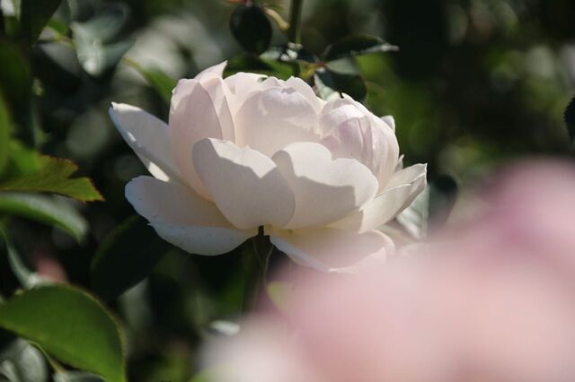 UP_IMG_6031.jpg