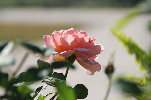 UP_IMG_6069.jpg