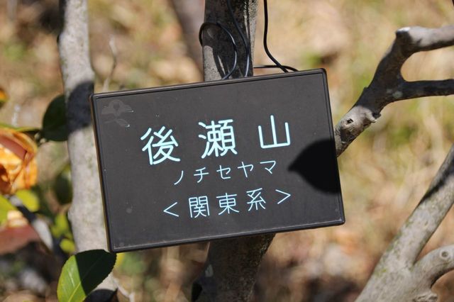UP_IMG_7203.jpg