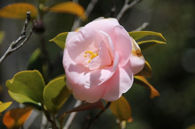 UP_IMG_7205.jpg