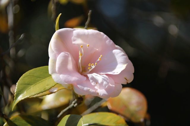 UP_IMG_7208.jpg