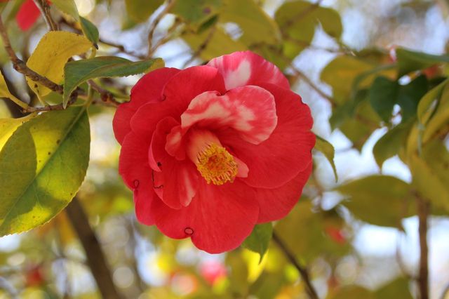 UP_IMG_7226.jpg