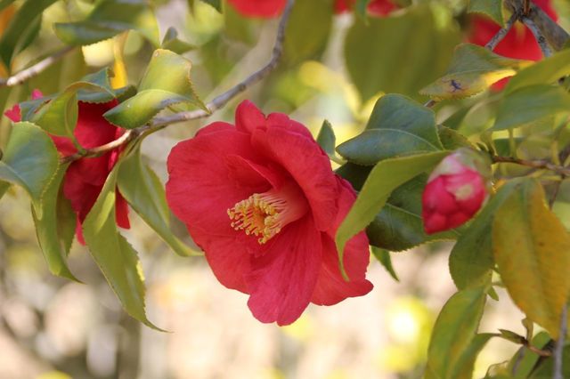 UP_IMG_7235.jpg