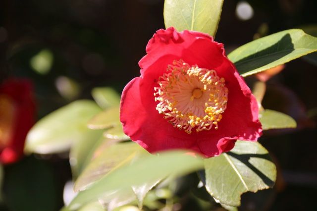 UP_IMG_7256.jpg