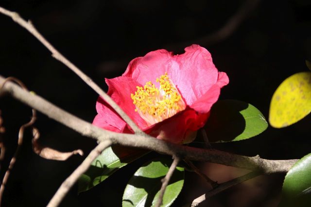 UP_IMG_7261.jpg