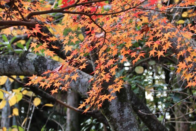 UP_IMG_9950.jpg