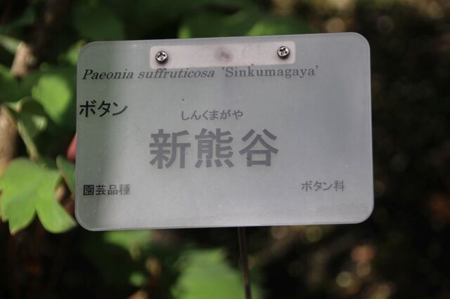 bP_IMG_7325.jpg