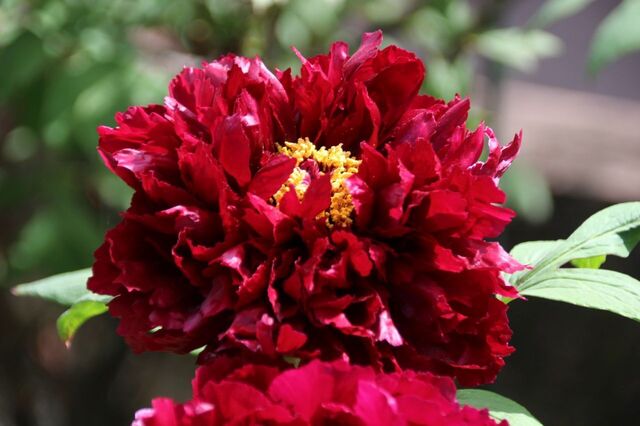 bP_IMG_7345.jpg