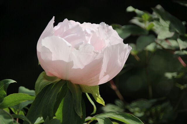 bP_IMG_7352.jpg