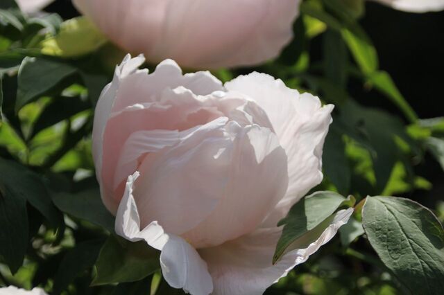 bP_IMG_7356.jpg